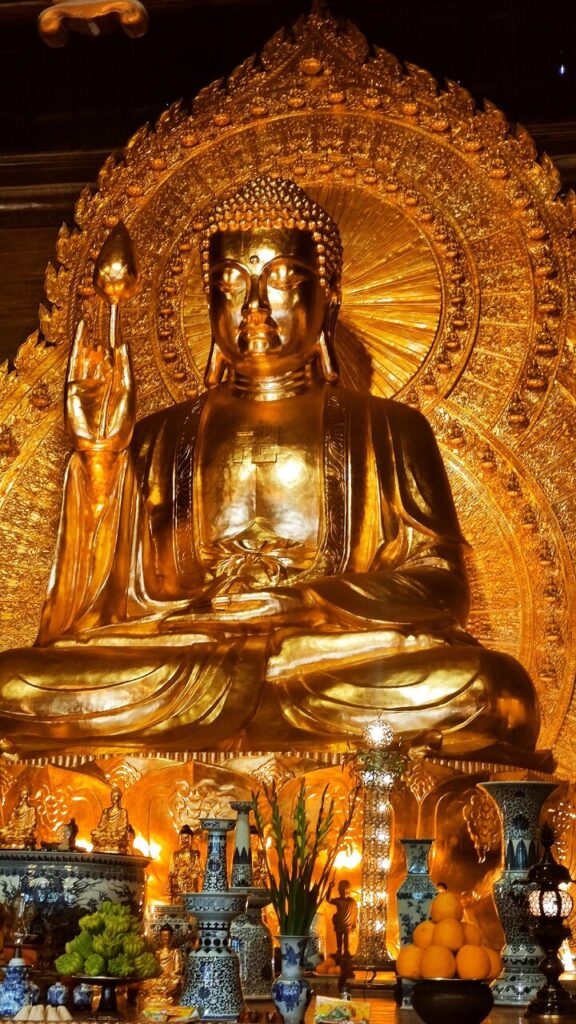 Image #1 from alessandra v