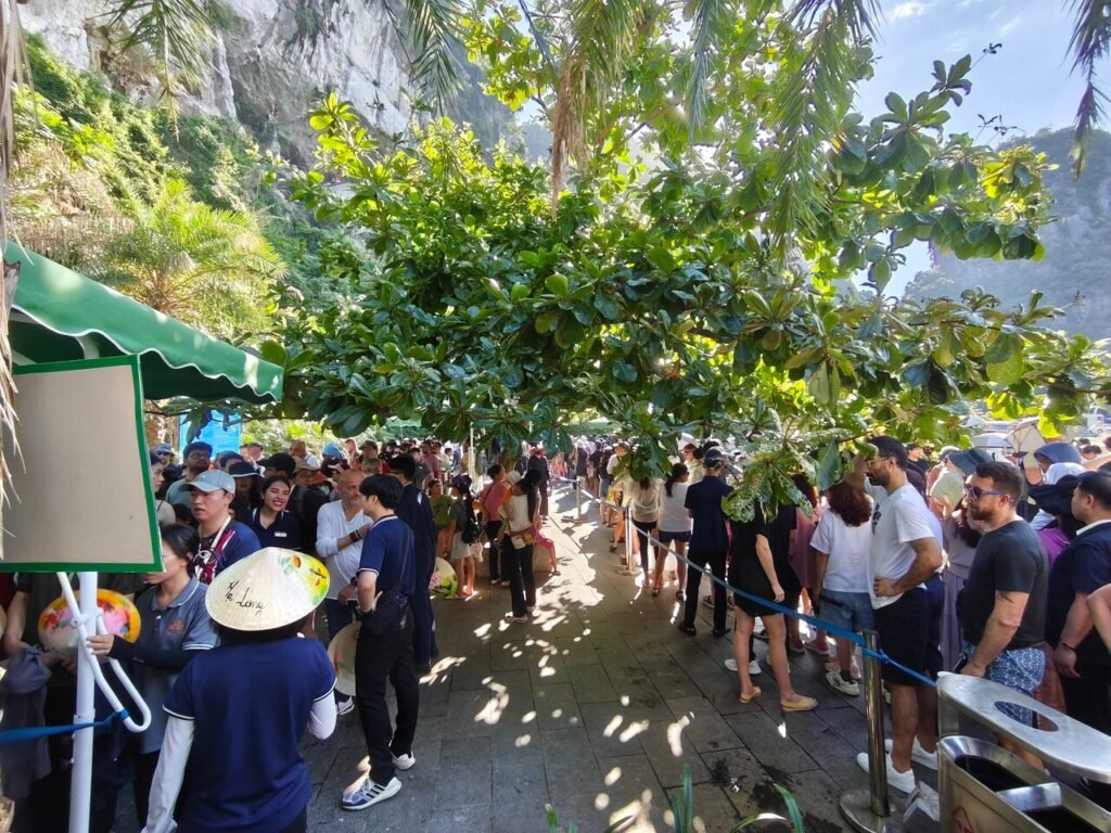 Image #1 from Sigh K