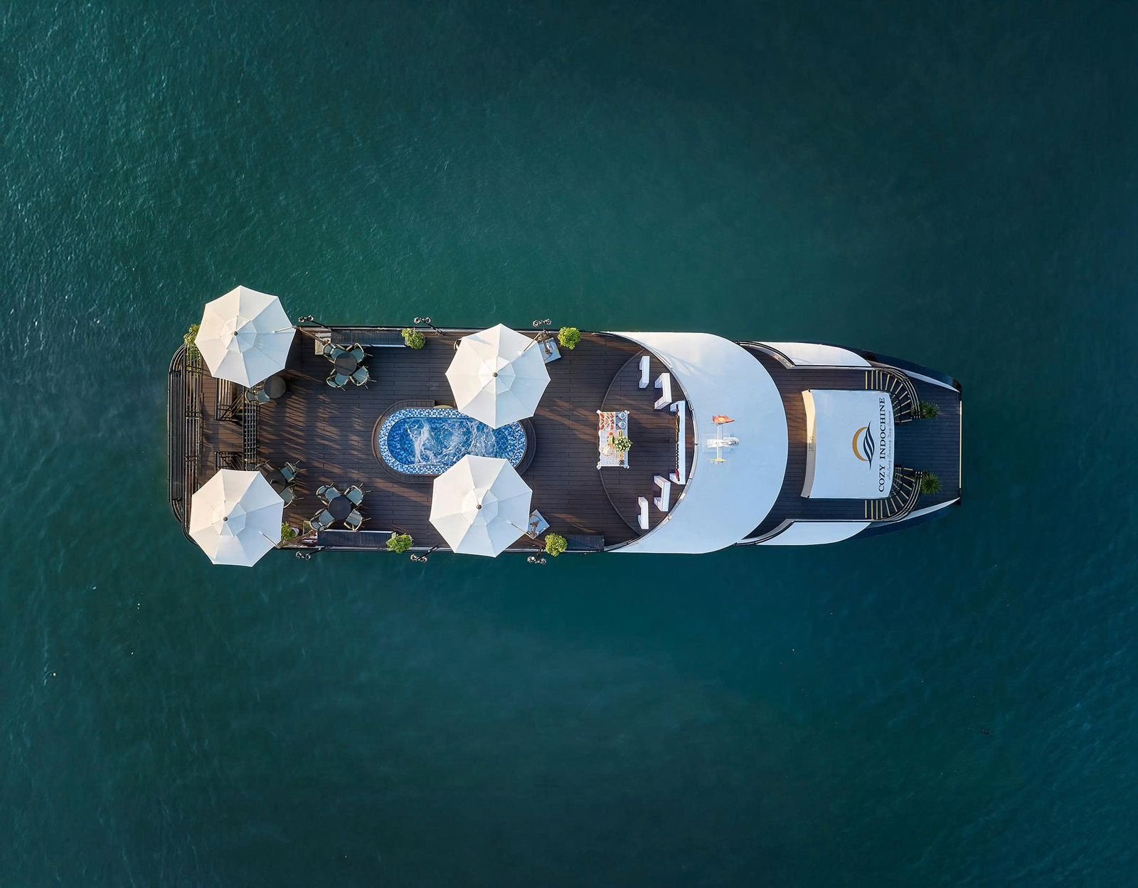 WhatsApp Image 2026-01-20 at 11.43.24