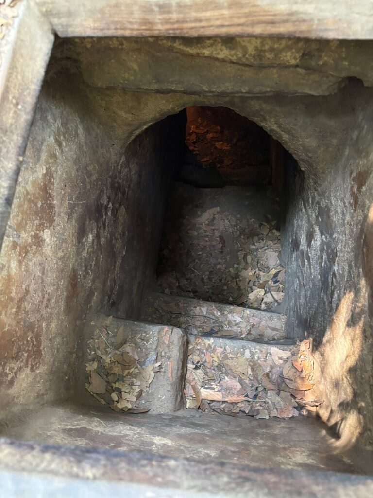 Image #4 from Nicola J