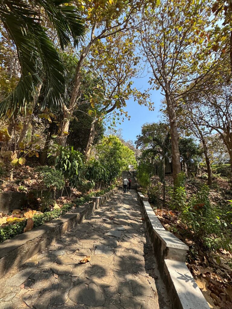 Image #1 from Wander40105083859