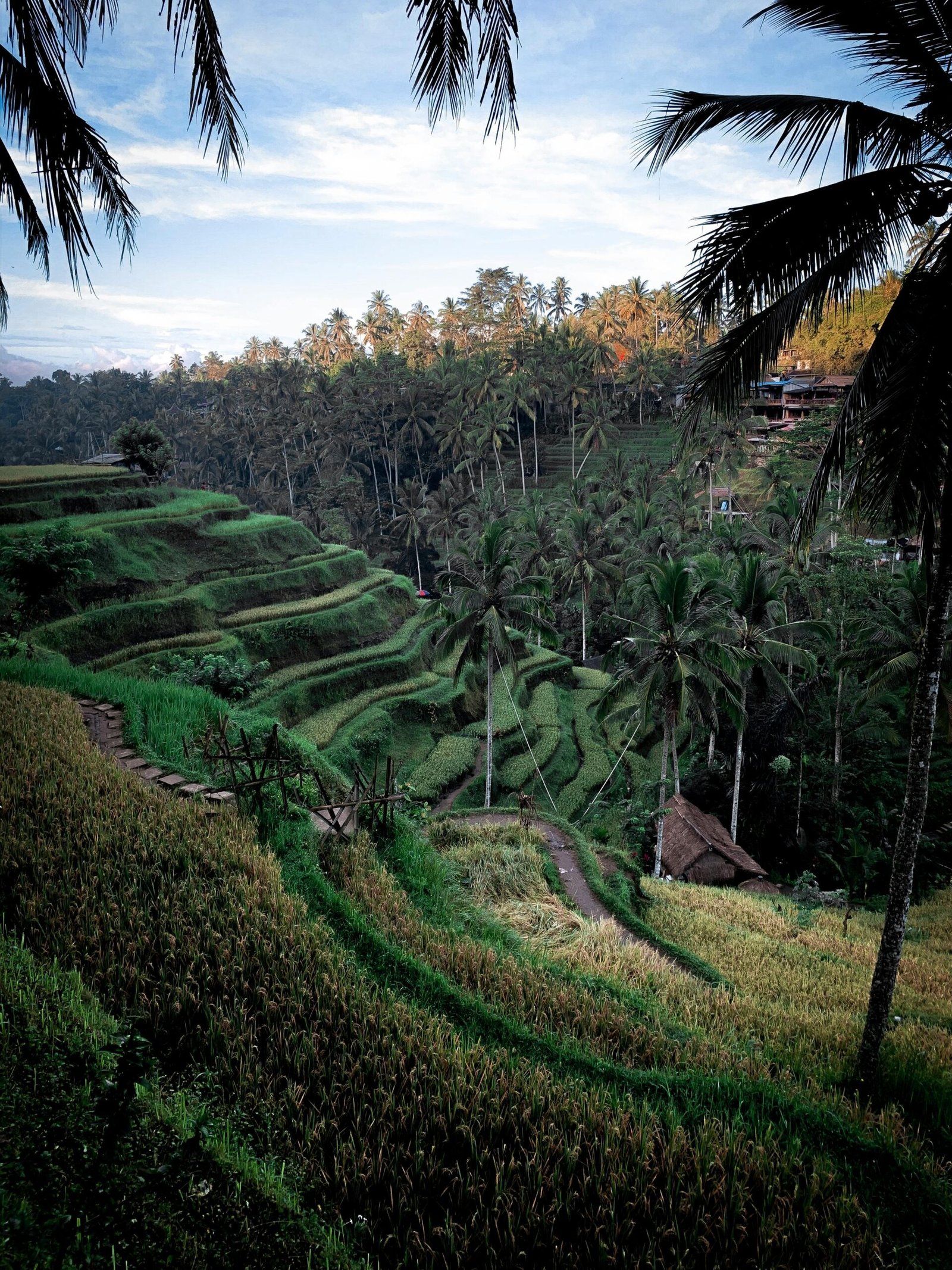 ubud1